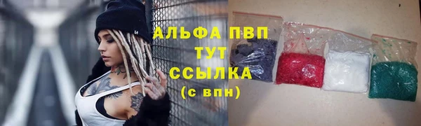 ПСИЛОЦИБИНОВЫЕ ГРИБЫ Баксан