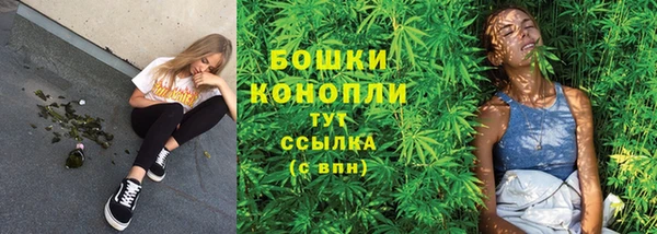 ПСИЛОЦИБИНОВЫЕ ГРИБЫ Баксан