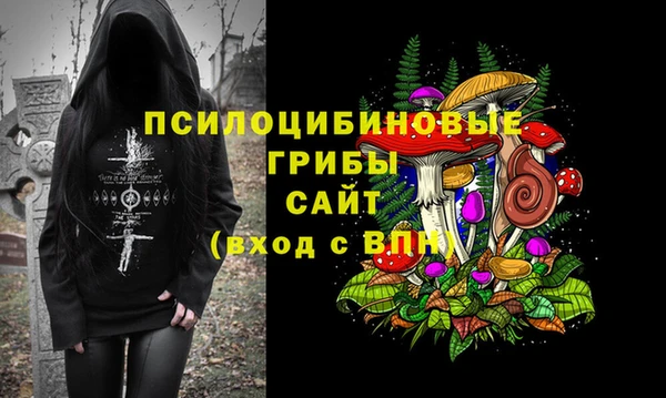 ПСИЛОЦИБИНОВЫЕ ГРИБЫ Баксан