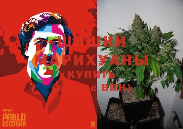 ПСИЛОЦИБИНОВЫЕ ГРИБЫ Баксан