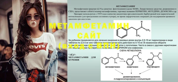 ПСИЛОЦИБИНОВЫЕ ГРИБЫ Баксан